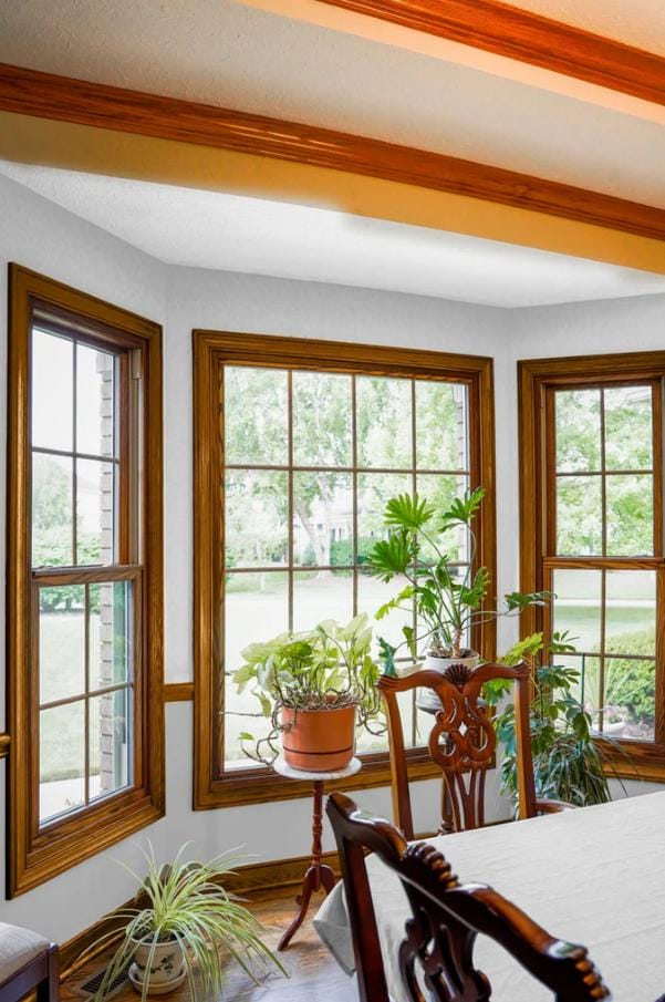 Wood-clad Cape Cod window replacement for traditional style and improved energy efficiency